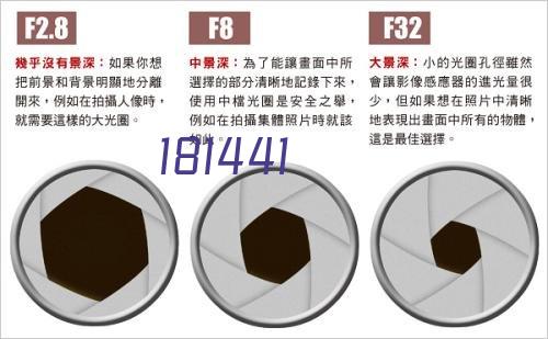 MEMS技术平台型企业