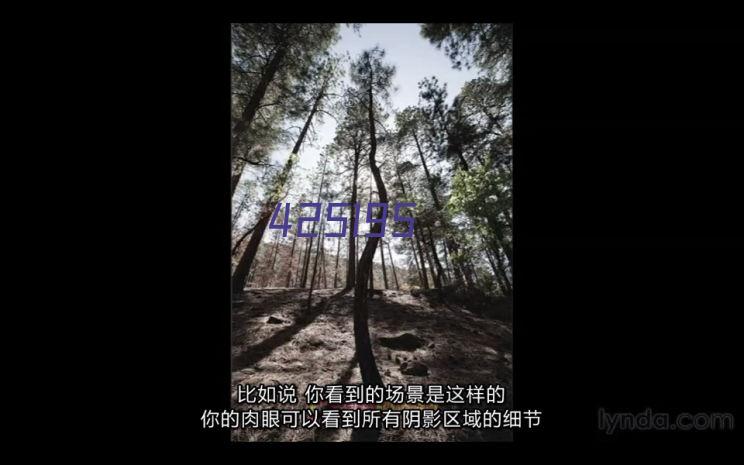 特斯拉Semi卡车驾驶辅助系统早期开发工作曝光