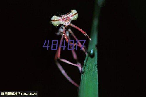 贵州生物燃料厂家