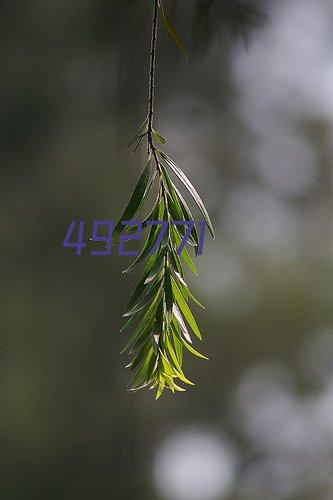 AJIDOU阿吉豆山茶花系列双层叠戴花卉珍珠项链唯美气质颈链