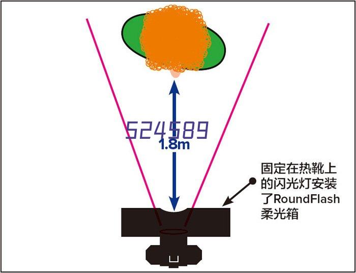 镇国神婿2