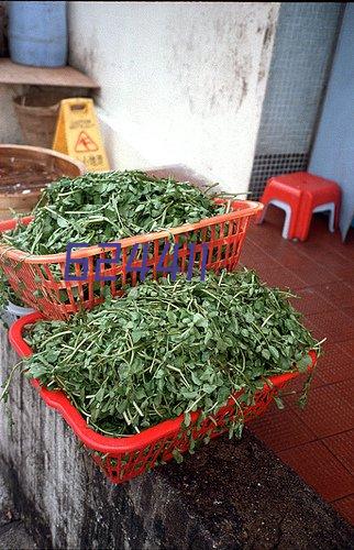 弹性丙烯酸球场材料的性能特点