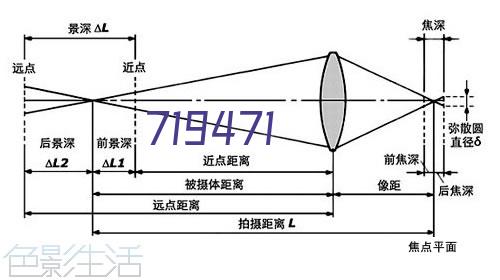 290C单白