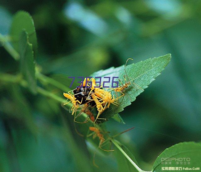 中兴实强科技（天津）有限公司