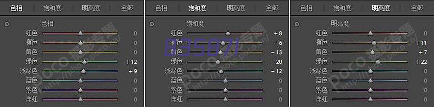 芬兰首都高校联盟