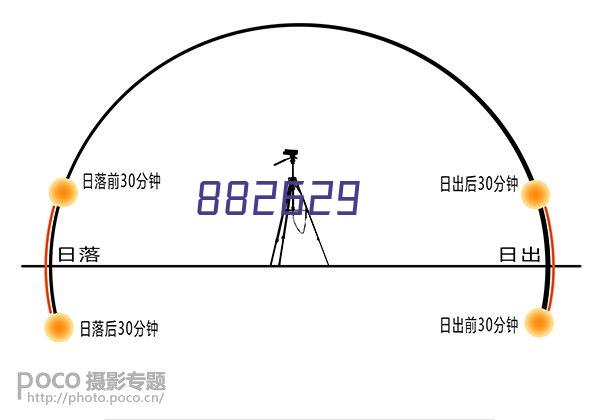 沧州雄狮