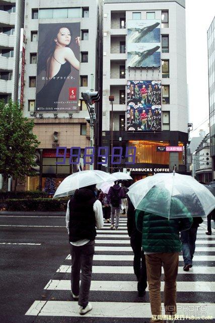 向日葵花束毕业季伴手礼送老师同学太阳礼物